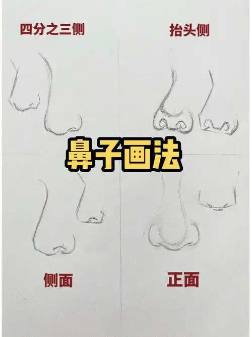 鼻子起形素描画法来啦,四句话教你不同面鼻子画法,点赞评论关注三连