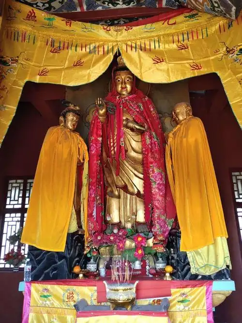 山东省八路军五路大反攻示意图(1945.8)