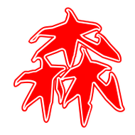 森艺术字体森头像森笔顺森同音同调字查询