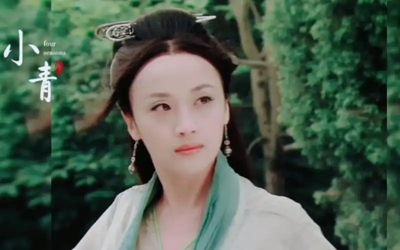 【傅淼】公孙绿萼除了撑得起绿色眼影,还能演青蛇,可惜现在只演妈妈了