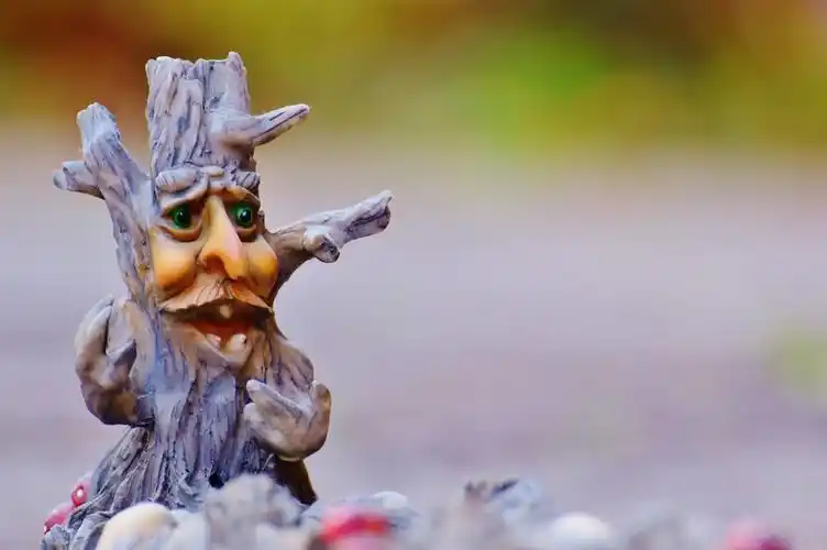 带人脸的树雕像