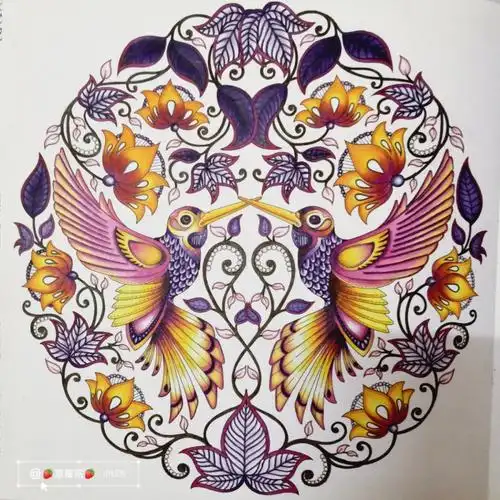 填色本  #填色  #秘密花园填色  #秘密花园  #秘密花园涂色成品纪