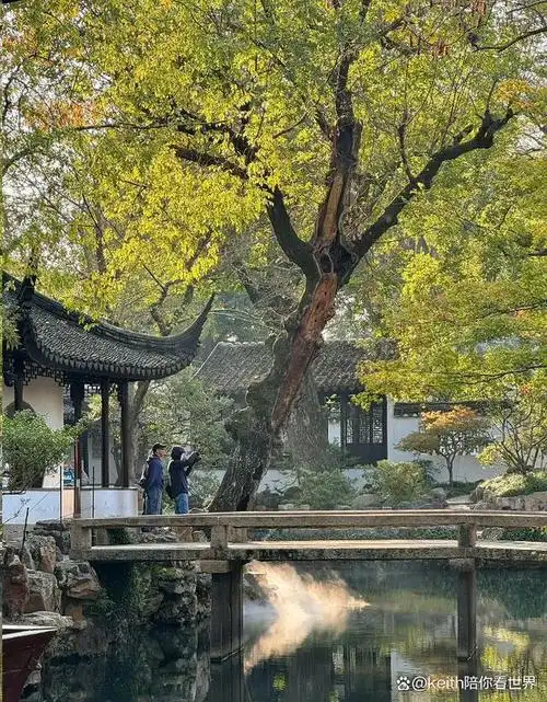苏州拙政园景点介绍:感受秋冬的清冷之美!
