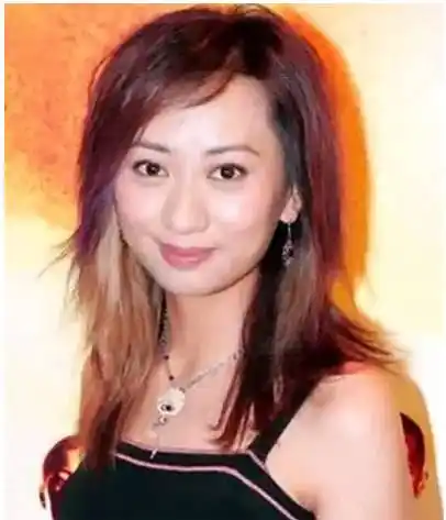 香港tvb电视剧沦为配角的十大美女明星!