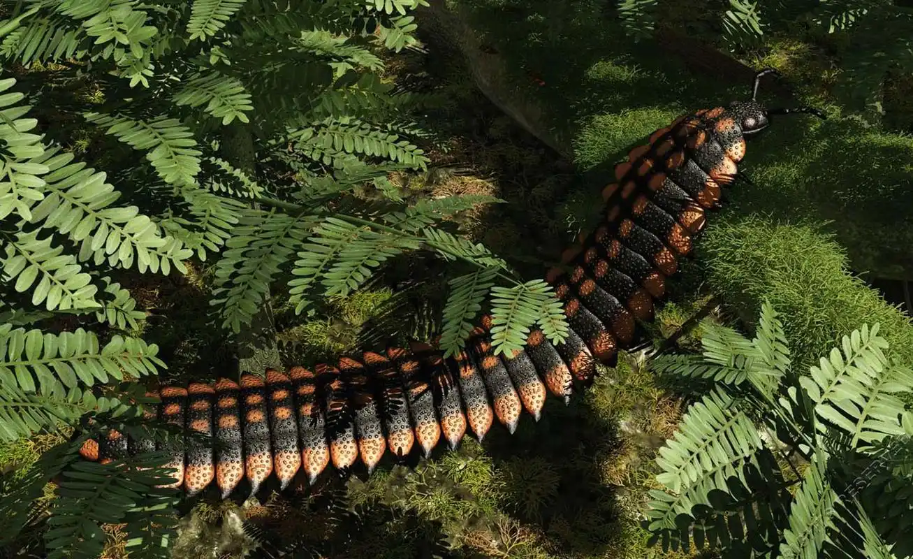 8亿年前(石炭纪)的巨型蜈蚣,体长达3m宽约50厘米身体扁平,它几乎没有