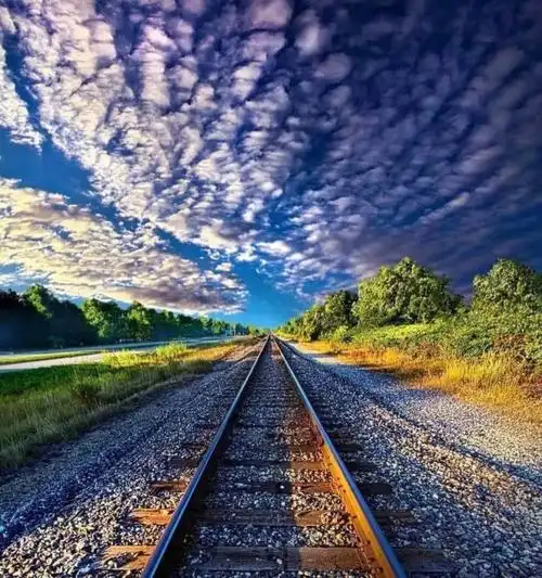 金光大道走向远方