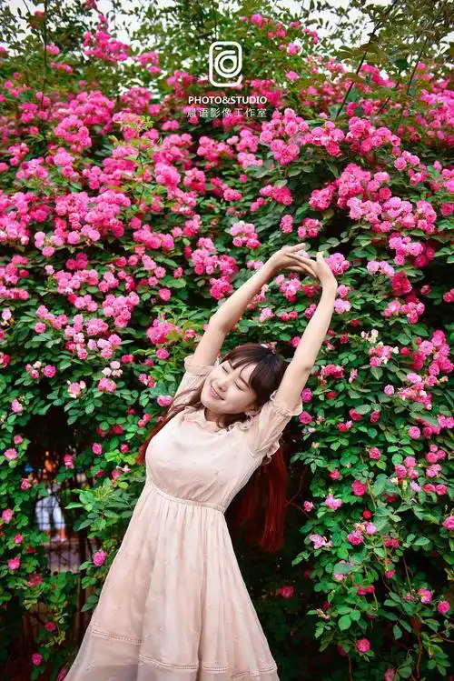 蔷薇花开遇见你|摄影|人像摄影|晨语影像_原创作品-站酷zcool