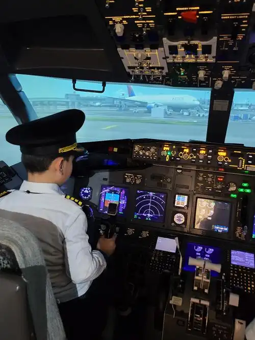 腾腾模拟开飞机