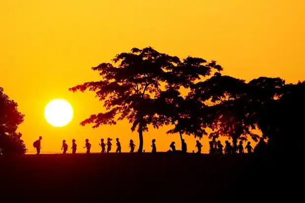 夕阳下的创意唯美剪影图片欣赏