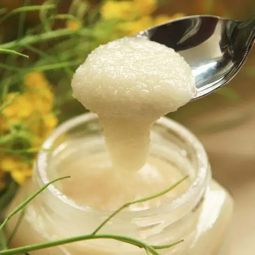 2020纯正农家自产天然油菜花蜂蜜原蜜结晶封盖成熟菜花蜜2000g