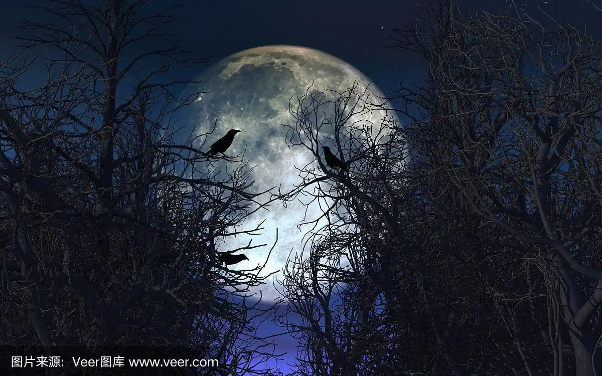 阴森的背景与乌鸦在树上对月色天空