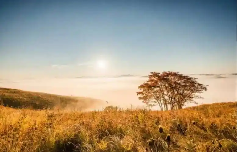别贪心别灰心在不可能的生活中寻找可能
