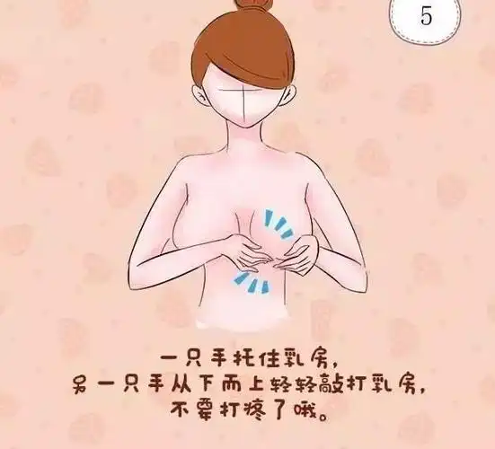 乳房|乳头|-健康界