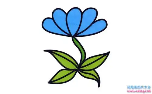 彩色小花简笔画画法怎么画彩色小花的简笔画