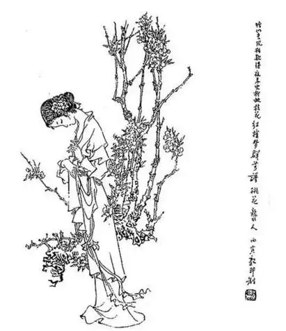 红楼梦的袭人简笔画