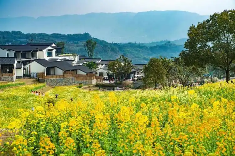 住在田园牧歌里的春天