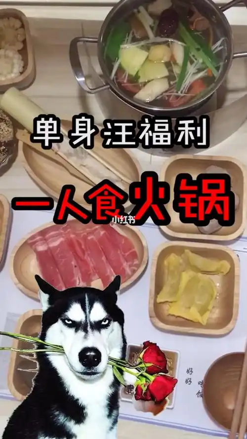 单身汪福利一人食小火锅
