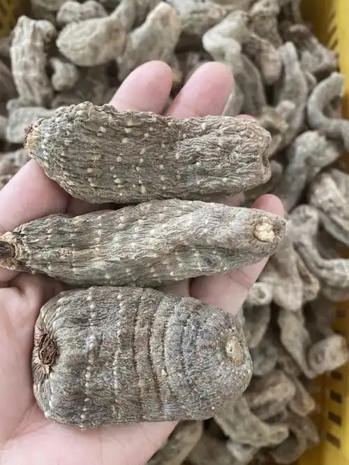 西藏乌天麻95一斤9215238元包邮76157615