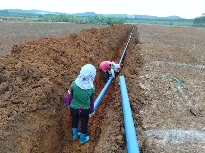 南宁滴灌管安装现场