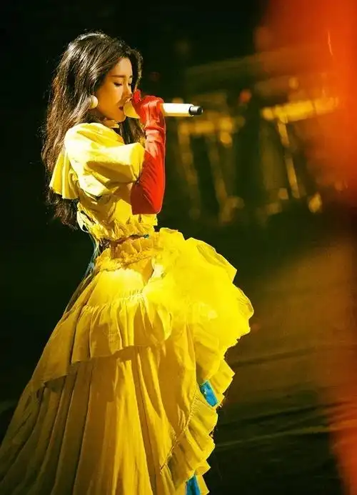 想看女歌手演唱会造型