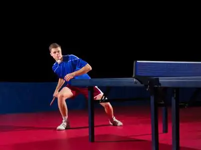 年轻的乒乓球运动员照片