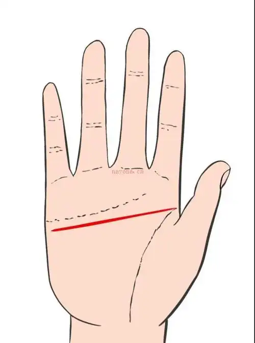 智慧线不弯曲而呈横向直线这种手相的人虽然天生聪明机智不过大多性格