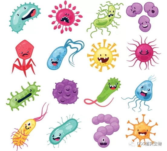 与霉菌的这场战役,你准备好了吗!