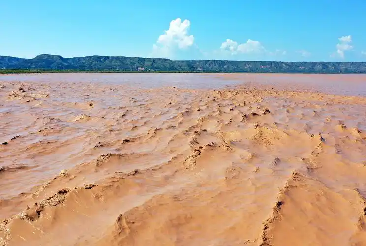 我家就在黄河边陕西合阳县黄河最美在洽川