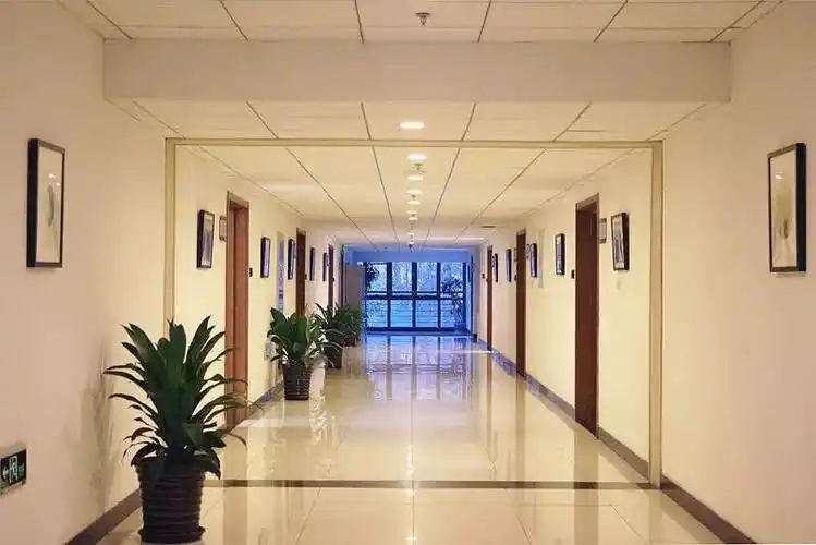 清华大学开启共享艺术时代,租租艺术场景魅力再延伸