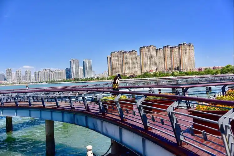 歌舞飞翔拍摄作品唐岛湾公园