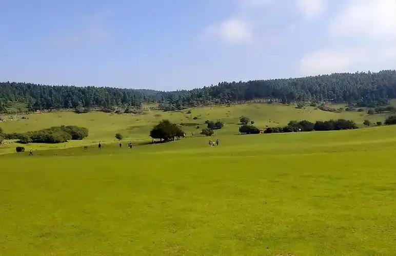 夏季的仙女山公园凉爽舒适