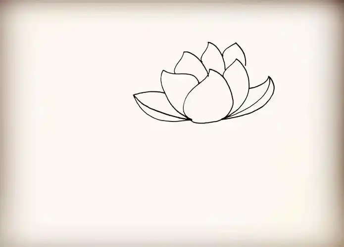 幼儿简笔画睡莲