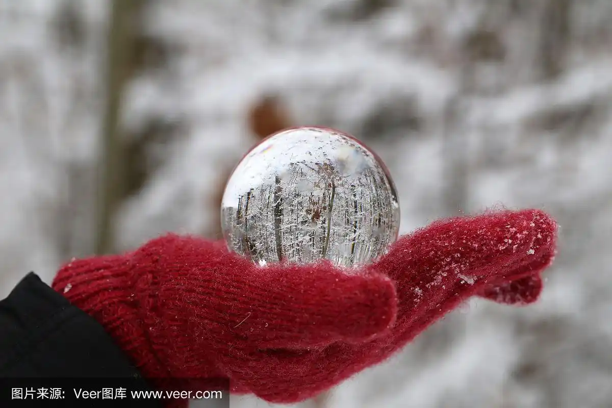 冬季森林透过透明的玻璃球