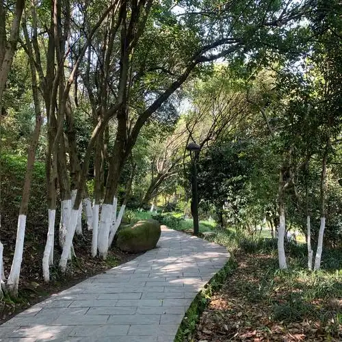 阳明公园