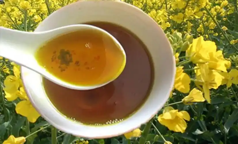 菜籽油的功效与禁忌