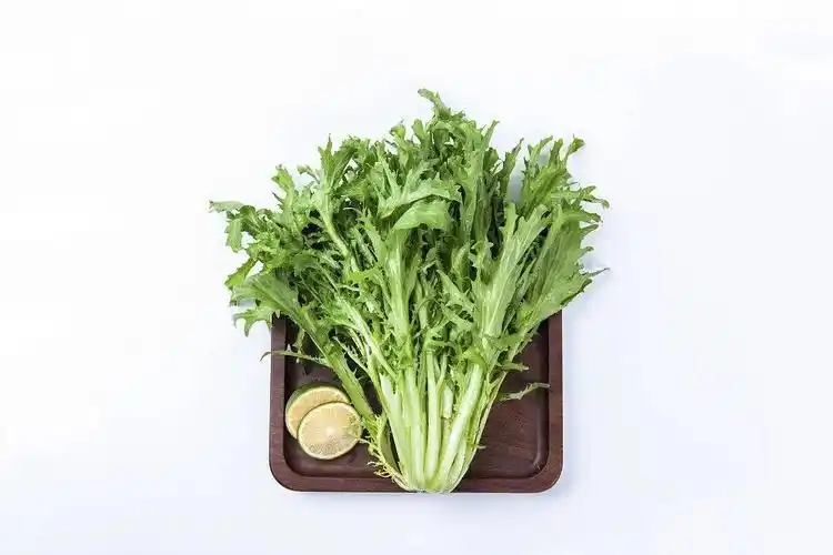 "夏日吃苦胜似进补",推荐五道养生苦菜 | 但这些苦千万不要吃_苦味