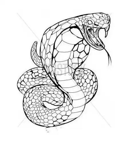 最新眼镜蛇简笔画 眼镜蛇简笔画图片大全毒蛇怎么画毒蛇简笔画简单易