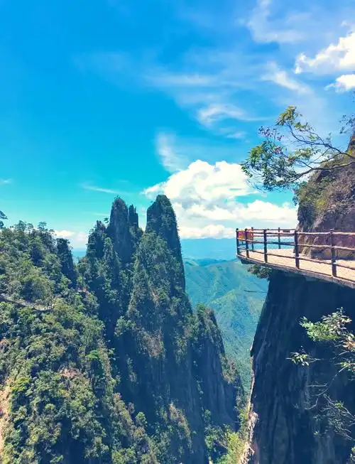 来莽山国家森林公园吧!这里不仅有长达3.