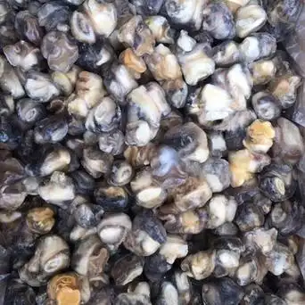 冷螺肉 福寿螺肉 带冰20斤/箱 螺肉河螺肉田螺肉福寿螺肉-阿里巴巴