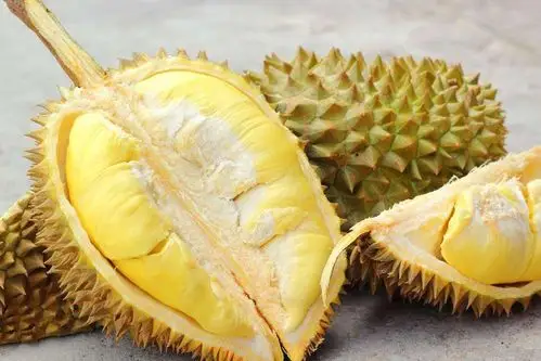 一颗榴莲的营养等于3只老母鸡