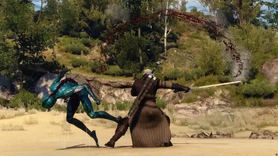 巫师3:狂猎 武器装备 enhanced bear armor dress change(熊套模型)