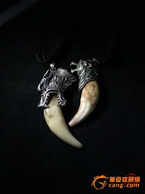 真狼牙 蒙古真狼牙 ——【丰血狼行】