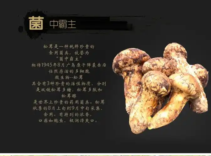 【现货】2018年新鲜野生松茸5-7cm(售罄) 【价格 功效 吃法】-西藏