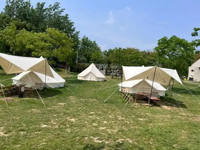 龙山赏心谷  一进园就是满眼的绿,走在林荫小道上感觉很宁静,因为是