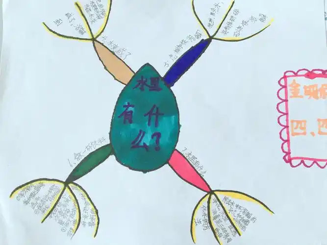 思维导图——走进科学