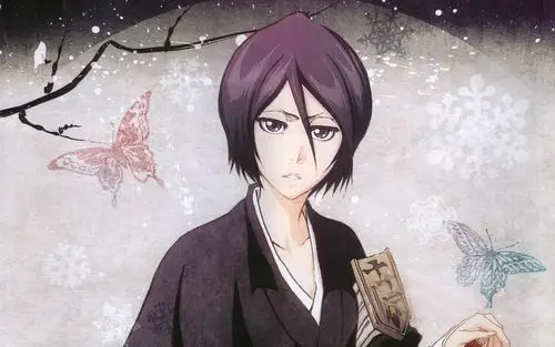 动漫美女死神朽木露琪亚唯美电脑壁纸下载