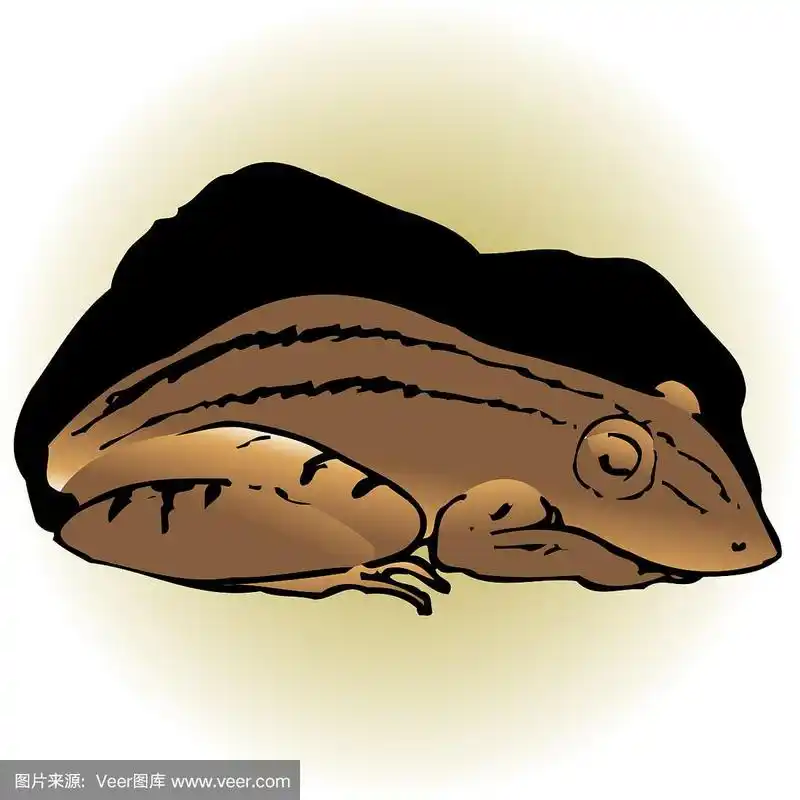 冬眠的青蛙