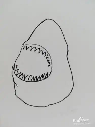 怎么画鲨鱼脑袋