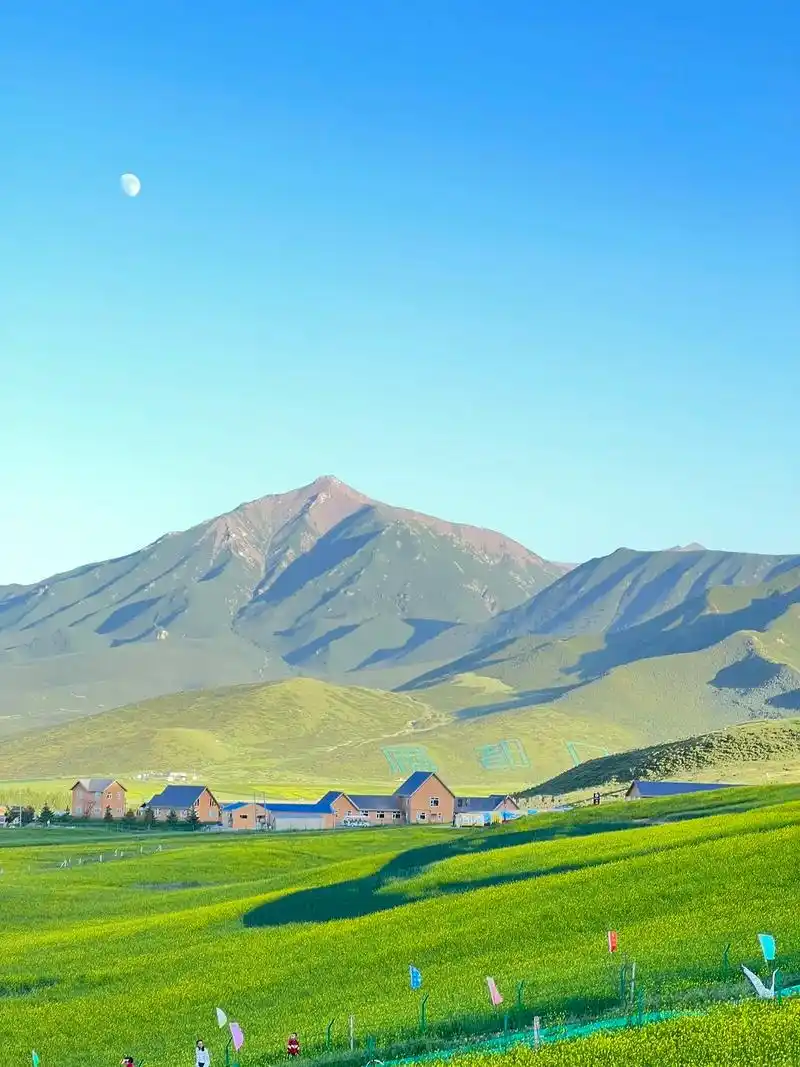 宝藏小众景点:七八月甘肃扁都口.#创作灵感 #西北旅行攻略  - 抖音