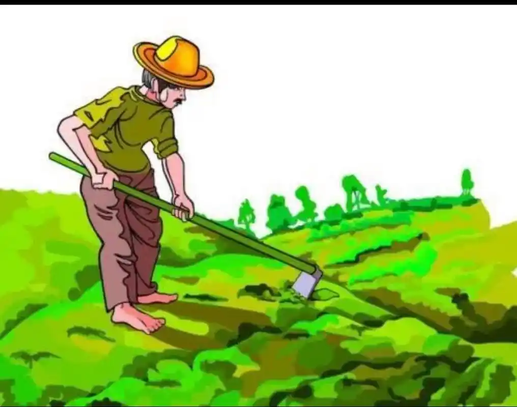 我家孩子爷爷的侄女,是个大款,在城市近郊有一别墅